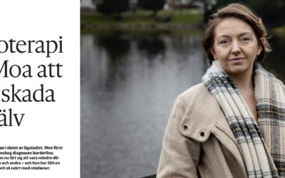 Positivt om DBT i media