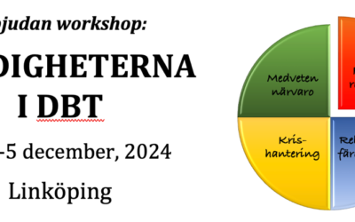 Välkommen på workshop i Färdigheterna i DBT, Linköping, 2024