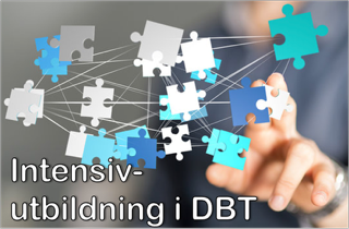Intensivutbildning DBT, 2026-2027
